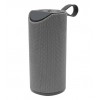 Altavoz Portátil BT BLAUPUNKT BLP3770153 Gris 10 W