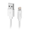 Cable USB 2.0 SBS Apple TECABLPOLOLIG89W 1M