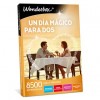 Pack Wonderbox: Un Dia Mágico Para 2